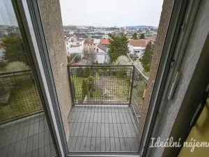 Pronájem bytu 2+1, Brno - Královo Pole, Palackého třída, 60 m2