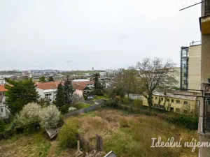 Pronájem bytu 2+1, Brno - Královo Pole, Palackého třída, 60 m2