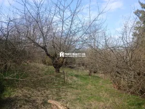 Prodej pozemku pro bydlení, Hronov, 973 m2