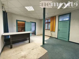 Prodej obchodního prostoru, Pardubice, Za Pasáží, 73 m2