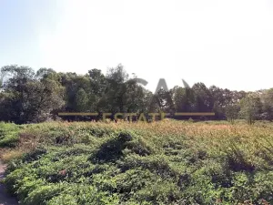 Prodej pole, Petrovice u Karviné, 15699 m2