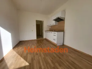 Pronájem bytu 1+kk, Havířov - Město, Mánesova, 19 m2