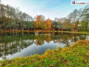 Prodej chaty, Tašov, 34 m2