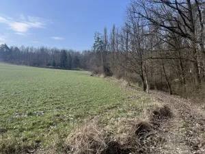 Prodej chaty, Nižbor - Žloukovice, 35 m2