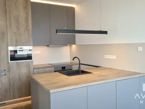 Pronájem bytu 3+1, Brno, Vinohrady, 116 m2