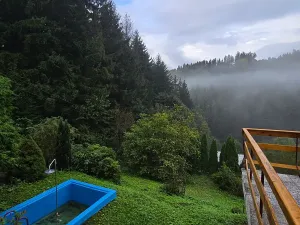 Prodej chaty, Vsetín, Za Díly, 58 m2