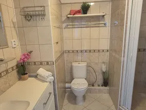 Prodej bytu 1+1, Turnov, Přepeřská, 35 m2