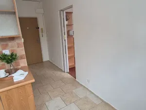 Prodej bytu 1+1, Turnov, Přepeřská, 35 m2