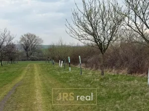 Prodej pozemku, Hroznová Lhota, 2997 m2