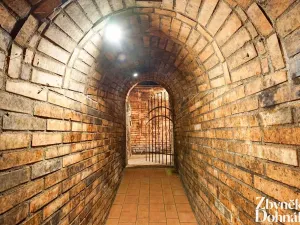 Prodej vinného sklepa, Čejč, 198 m2