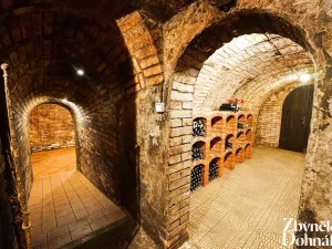 Prodej vinného sklepa, Čejč, 198 m2