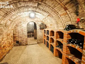 Prodej vinného sklepa, Čejč, 198 m2