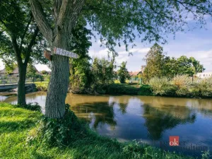 Prodej rodinného domu, Odrovice, 200 m2