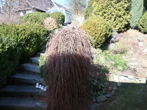 Prodej rodinného domu, Oborná, 302 m2