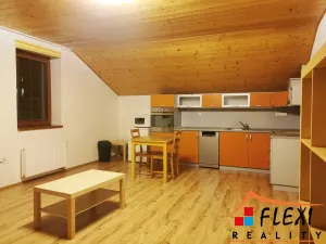 Pronájem bytu 1+kk, Frýdek-Místek, Hluboká, 51 m2