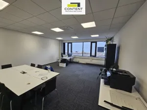 Pronájem výrobních prostor, Bor - Nová Hospoda, 32693 m2