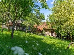 Prodej zemědělské usedlosti, Lípa, 1492 m2