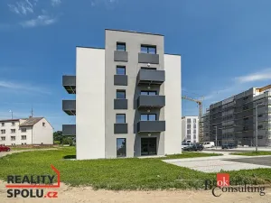 Pronájem bytu 1+kk, Heřmanova Huť - Vlkýš, U Pondu, 35 m2