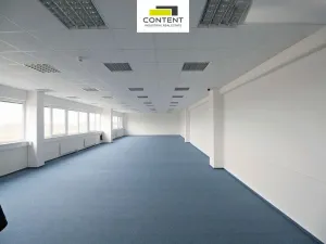 Pronájem skladu, Hladké Životice, Kujavská, 29000 m2