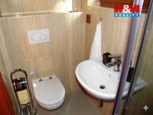 Pronájem bytu 1+kk, Příbor, nábřeží Rudoarmějců, 20 m2