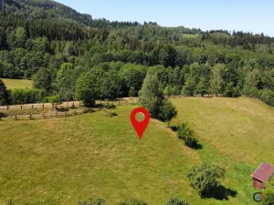 Prodej pozemku pro bydlení, Olešnice v Orlických horách, 4823 m2