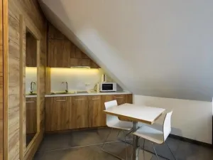 Prodej apartmánu, Dolní Morava, 36 m2