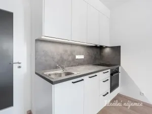 Pronájem bytu 1+kk, Praha - Vysočany, Gerstelova, 33 m2