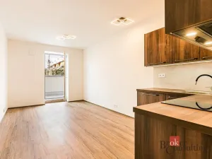 Pronájem bytu 1+kk, Brno - Kníničky, Ondrova, 27 m2