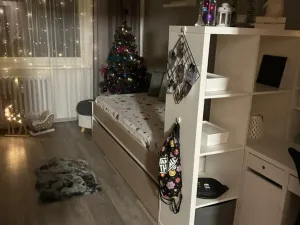 Prodej bytu 4+1, Nový Jičín, Riegrova, 82 m2