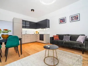Pronájem bytu 2+kk, Praha - Žižkov, Žerotínova, 47 m2