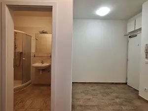 Pronájem bytu 2+1, Praha - Smíchov, Podbělohorská, 41 m2