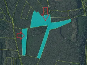 Prodej lesa, Libotenice, 63021 m2