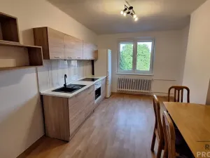 Pronájem bytu 2+1, Ústí nad Labem, Elišky Krásnohorské, 80 m2