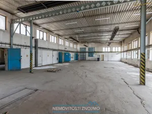 Prodej výrobních prostor, Hrušovany nad Jevišovkou, Rudé armády, 12000 m2