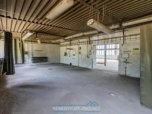 Prodej výrobních prostor, Hrušovany nad Jevišovkou, Rudé armády, 12000 m2