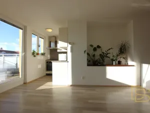 Pronájem bytu 2+kk, Brno - Veveří, Veveří, 48 m2