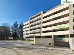 Pronájem bytu 3+kk, Plzeň, Heyrovského, 80 m2