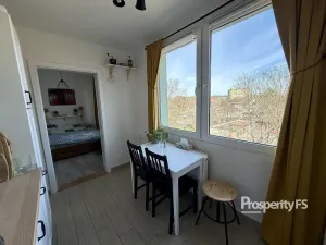 Pronájem bytu 3+1, Žatec, Ostrov, 64 m2