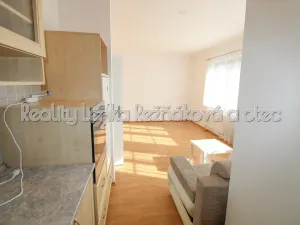 Pronájem bytu 1+kk, Mikulov, Brněnská, 36 m2