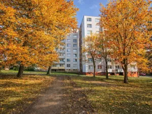 Prodej bytu 3+1, Rožnov pod Radhoštěm, Svazarmovská, 74 m2