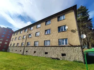 Prodej bytu 2+1, Loučovice, 75 m2