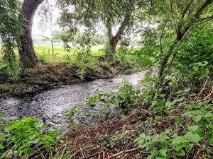 Prodej pozemku pro bydlení, Nezabylice, 16303 m2