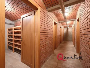 Pronájem bytu 4+kk, Praha - Prosek, Na samotě, 167 m2