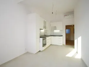 Pronájem bytu 3+1, Praha - Vinohrady, Mánesova, 120 m2