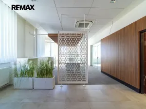 Prodej obchodního prostoru, Králíky, 5. května, 519 m2