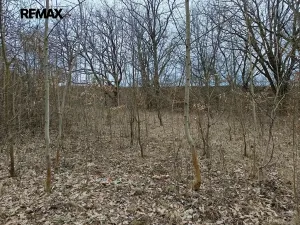 Prodej pozemku, Zábřeh, 3482 m2