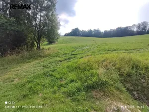 Prodej pozemku pro bydlení, Lipová-lázně, 22105 m2