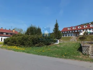Prodej komerční nemovitosti, Strážný - Řasnice, 39598 m2