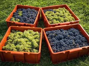 Prodej zemědělské usedlosti, Lhenice, 300 m2