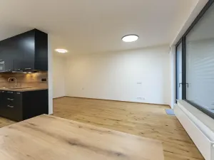 Pronájem bytu 1+kk, Praha - Nusle, Muzikova, 50 m2